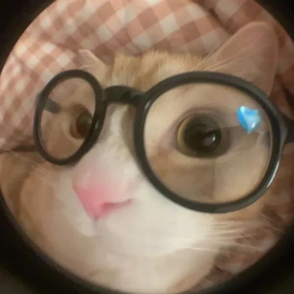 Avatar of heyheygurl