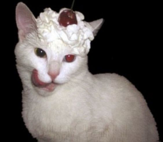 Avatar of Barkuaad