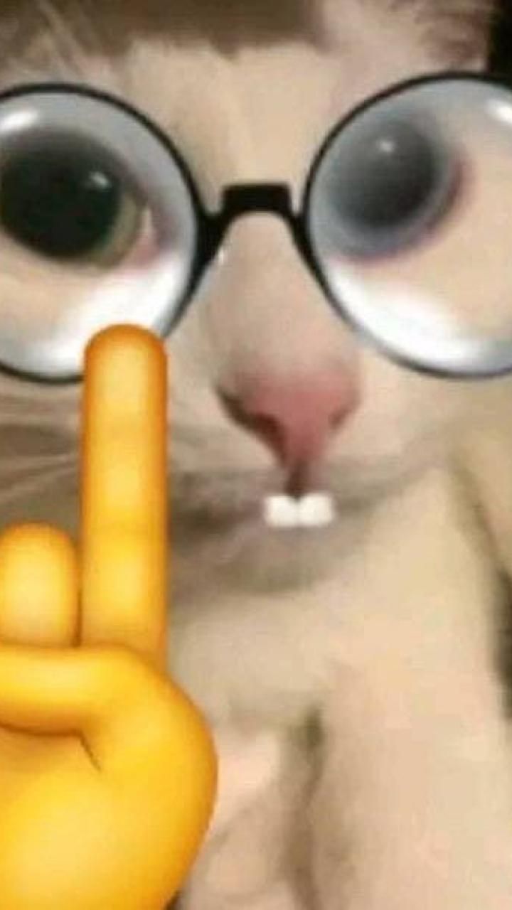 Avatar of idiot2