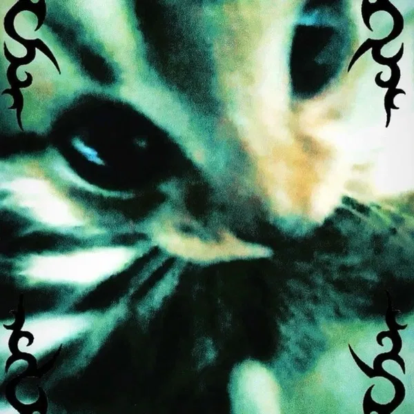Avatar of ThatSillyCat