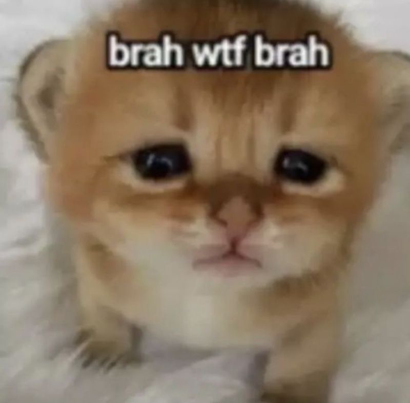 Avatar of unicornpoop123