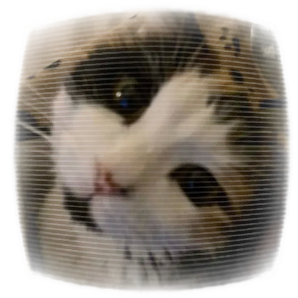Avatar of ✦ Cola