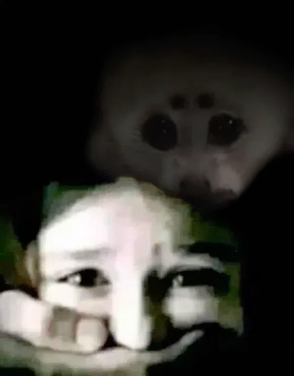 Avatar of Rfizee
