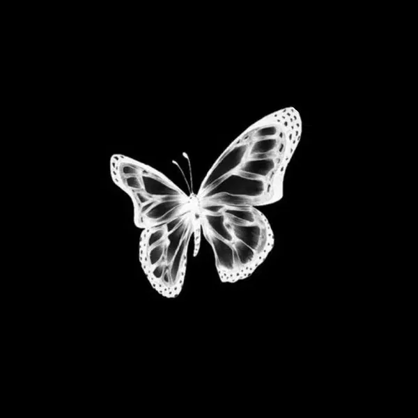 Avatar of Crystal_Lumi1453