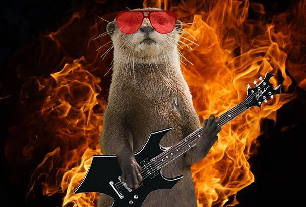 Avatar of Ollie_otter