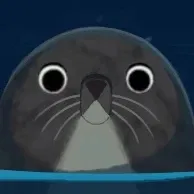 Avatar of Crokokos