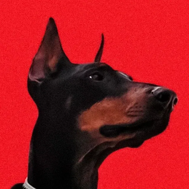 Avatar of Salamon_Bober