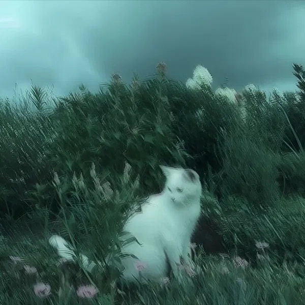 Avatar of XaxaIsAlwaysTired
