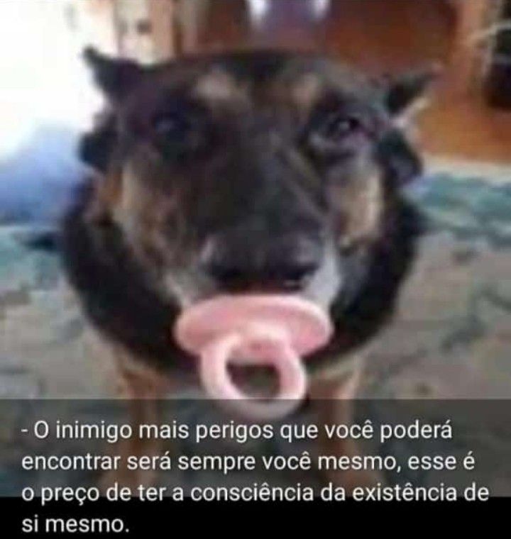 Avatar of MarteInvisivel