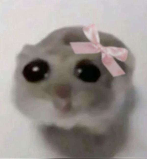Avatar of waitwhothefuckispey