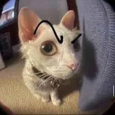 Avatar of JayBlazer
