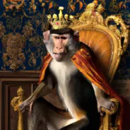 Avatar of Monking_JAI