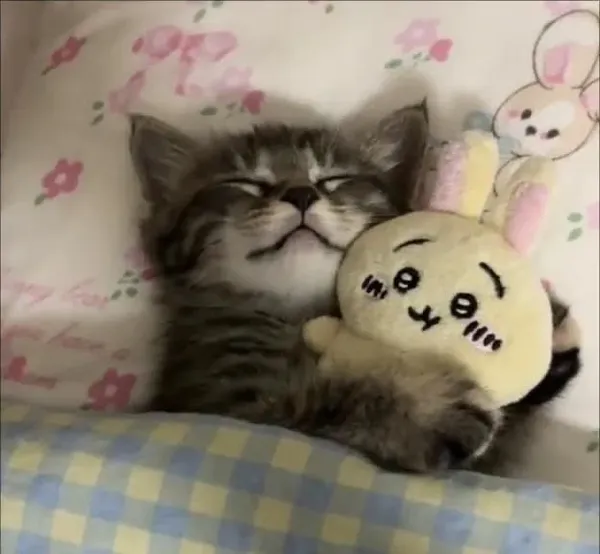Avatar of sleepydays