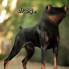 Avatar of High Monke