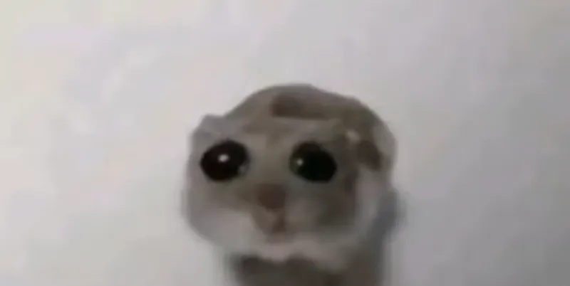 Avatar of Red_Goggles