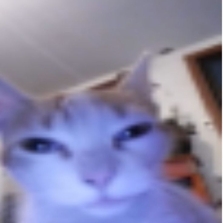 Avatar of Orphandevourer73