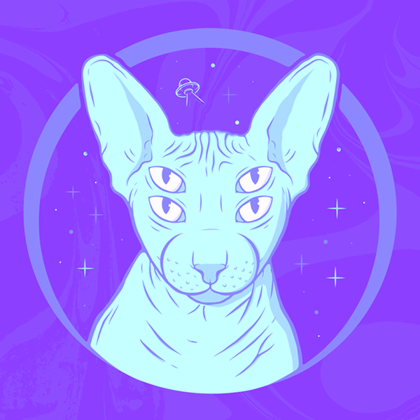 Avatar of SpicySpaceCat