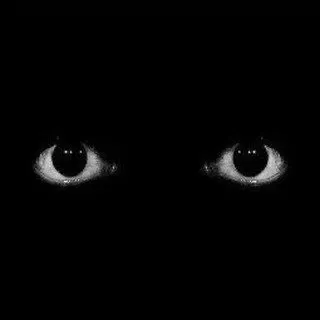 Avatar of no sleep