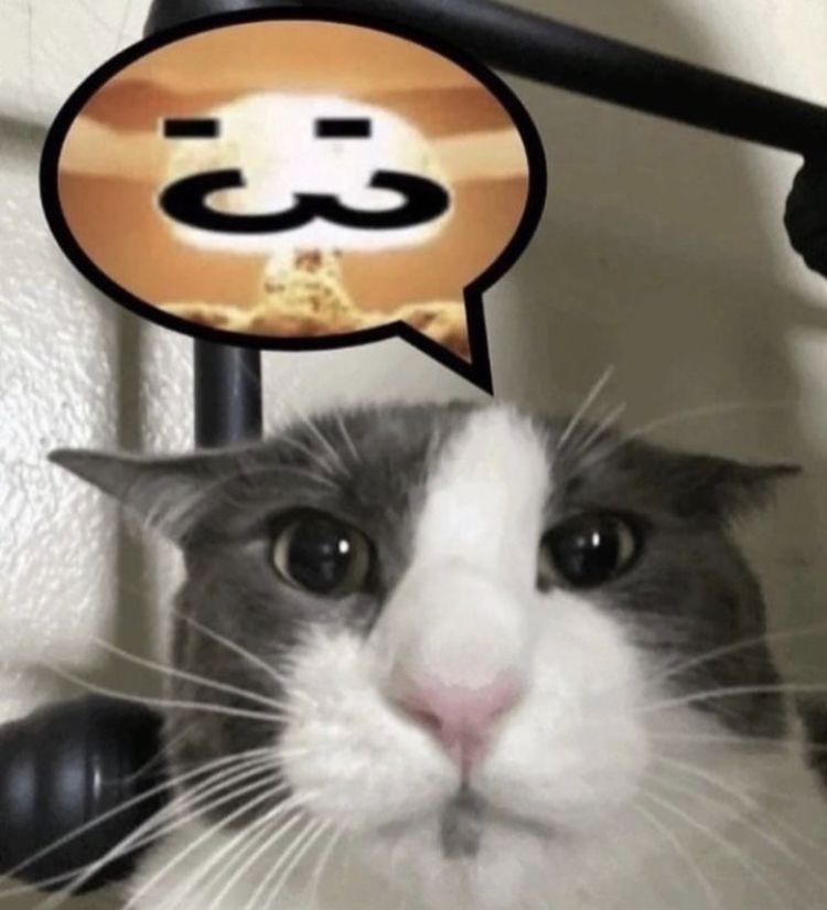Avatar of Vixxiiplix