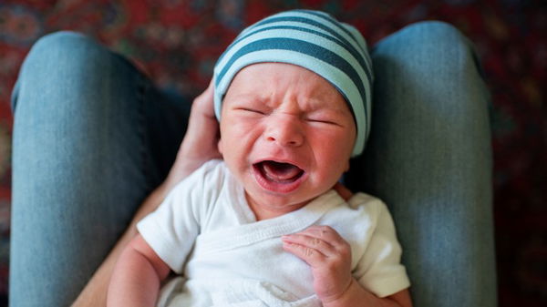 Avatar of ipukebabies