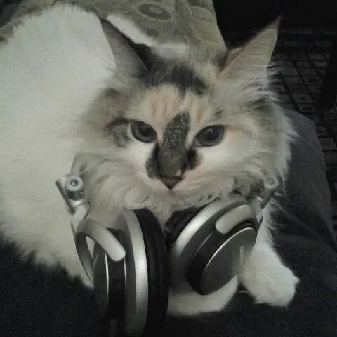 Avatar of Nezzie pooooooh