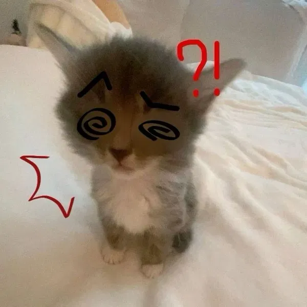 Avatar of Mango_opaws