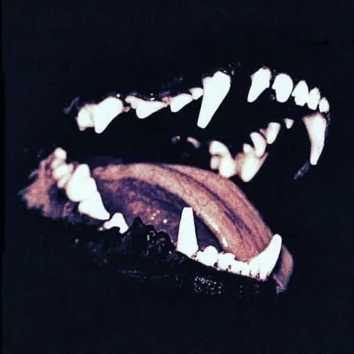 Avatar of Werwulfy