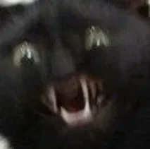 Avatar of Hitroizus