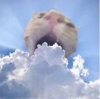 Avatar of SkyBurns