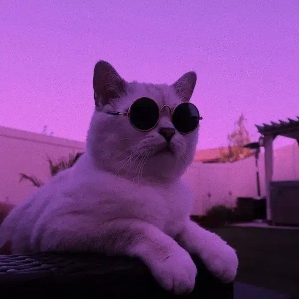 Avatar of ky0to_sky