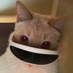 Avatar of ky0to_sky