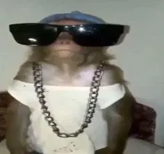 Avatar of ExoTTG