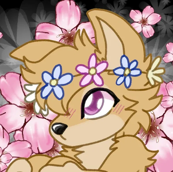 Avatar of ShibaBea