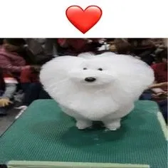 Avatar of dissociaslut