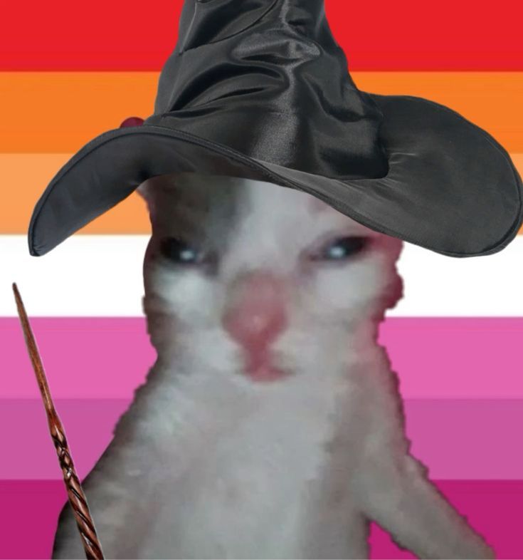 Avatar of sykara