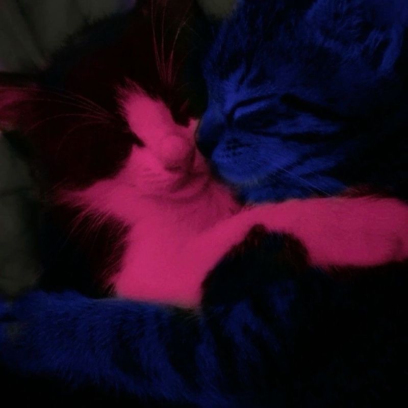 Avatar of Akirasyourfav