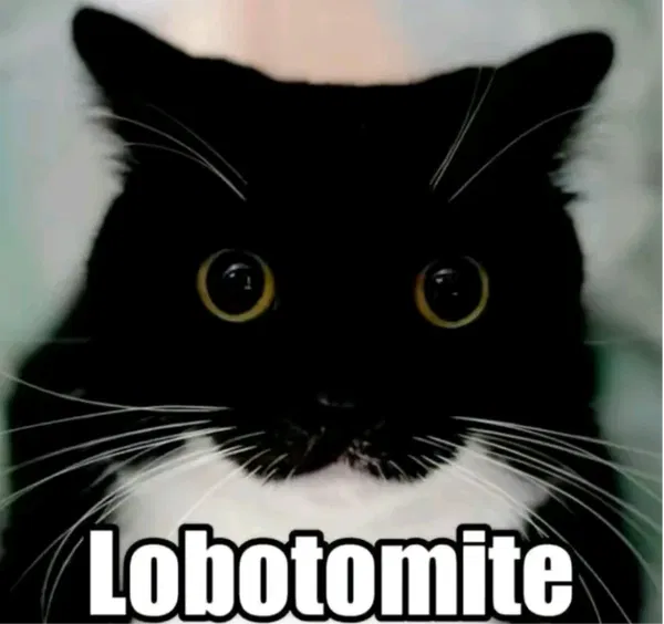 Avatar of Foxthattrots