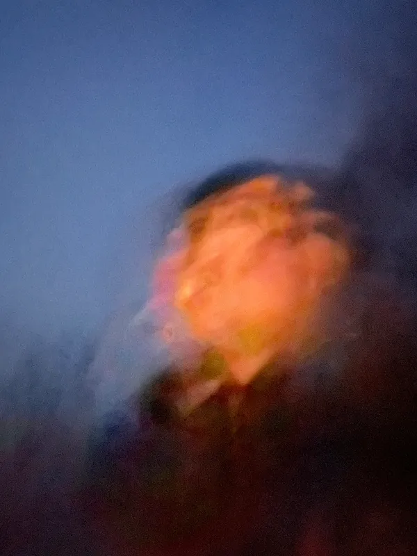 Avatar of RyanRippta
