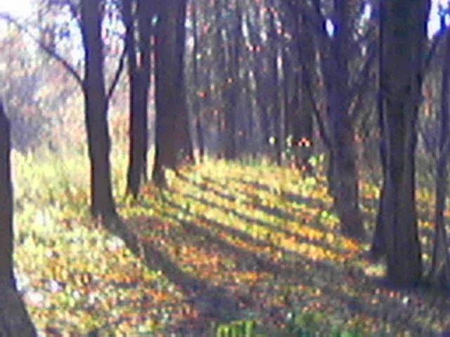 Avatar of Toparilaa