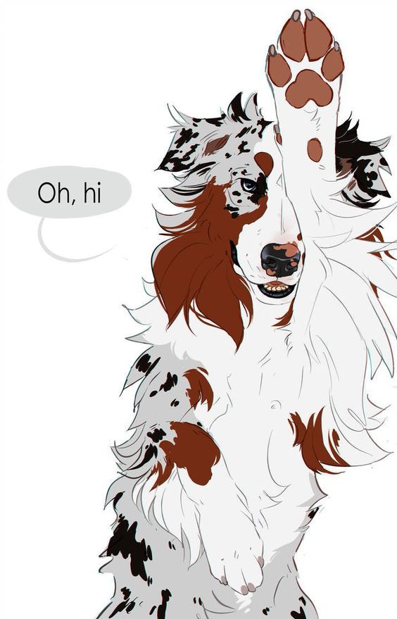 Avatar of Aussie_Shepherd
