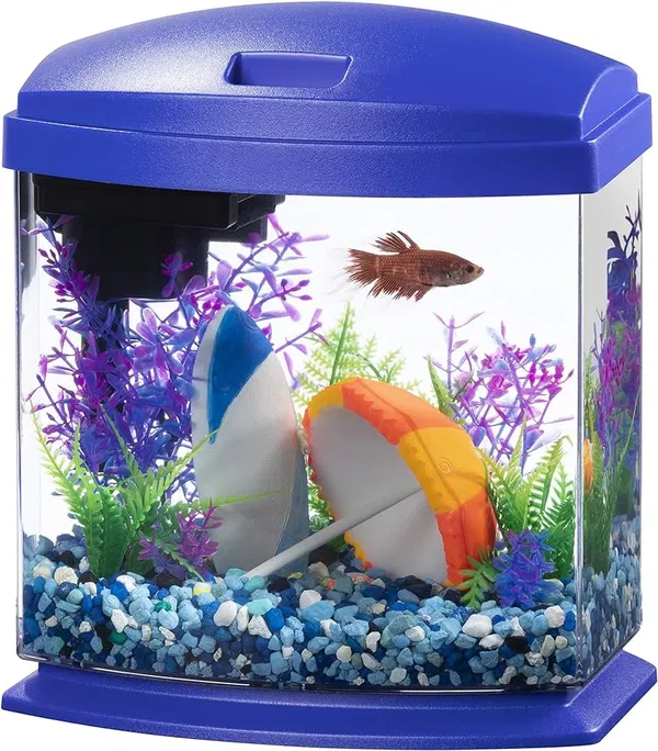 Avatar of fishtankman42
