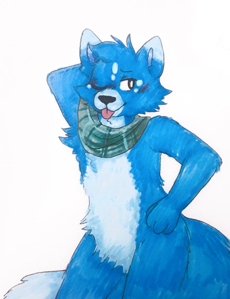 Avatar of TheHuskyGamer