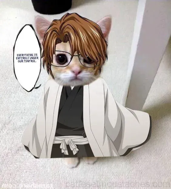 Avatar of TigetSharkz