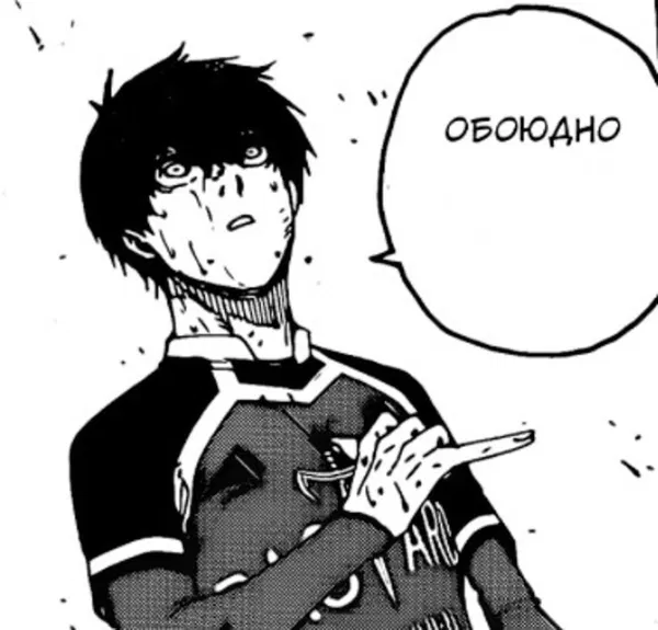 Avatar of Animeshnik