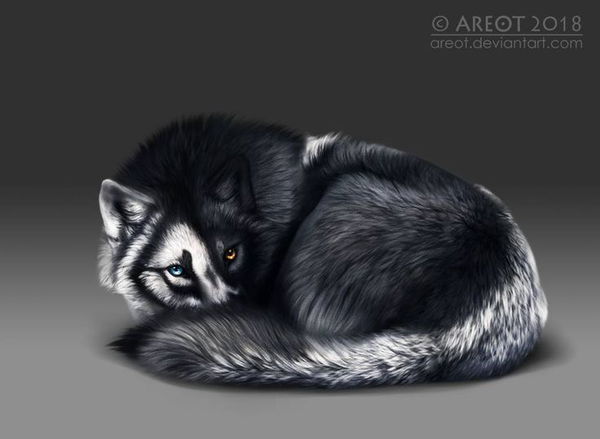 Avatar of Kate_the_okay