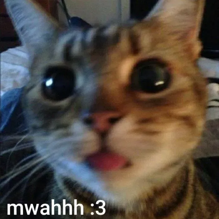 Avatar of mrkttyfiny