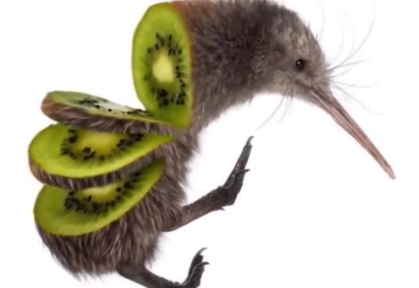 Avatar of animalsareawesome