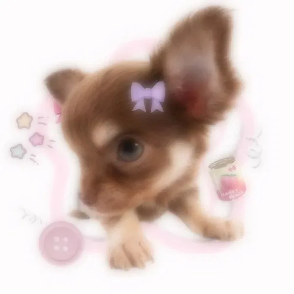 Avatar of Monster_fuker