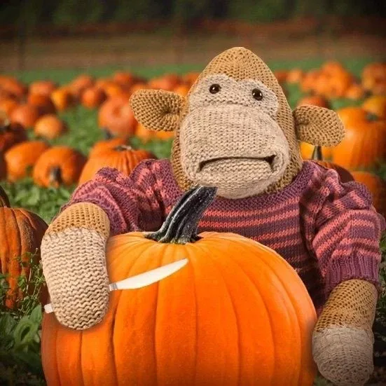 Avatar of Petit_Monkey