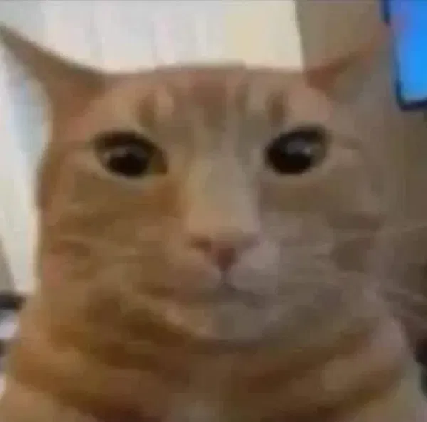 Avatar of Someoneofthiswebsite